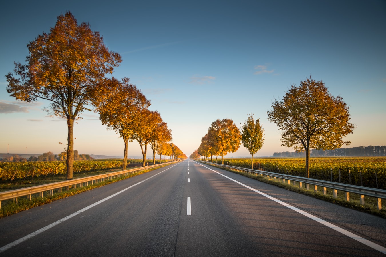 How to enhance road safety with a car breathalyser device