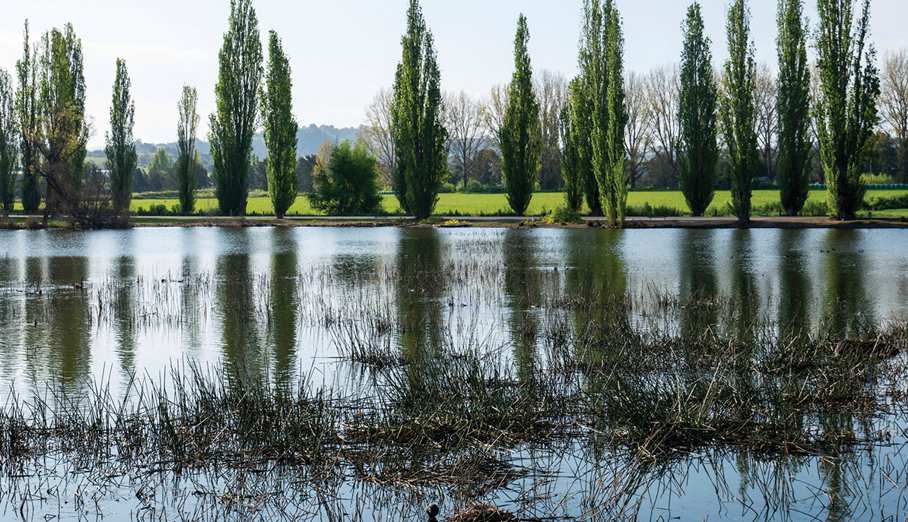 Bega River